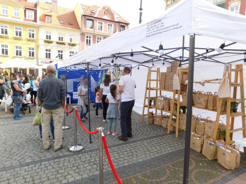 Piknik ekologiczny dla całych rodzin w centrum Wałbrzycha [ZDJĘCIA]