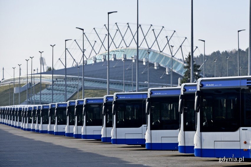 55 nowych autobusów na ulicach Gdyni. Zastąpią starsze pojazdy. To największa wymiana taboru w historii gdyńskiej komunikacji miejskiej 