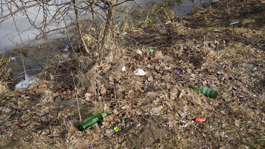 Puszki, butelki, plastiki i wiele innych śmieci przy Zalewie Wolbromskim. To pozostałości po odbywających się tam imprezach [ZDJĘCIA]