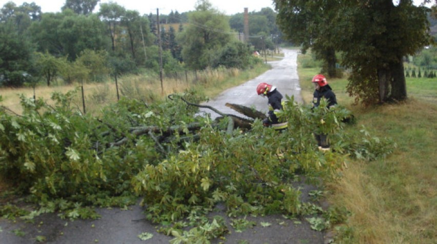 Cztery powalone drzewa i osiem podtopień - to bilans szkód,...