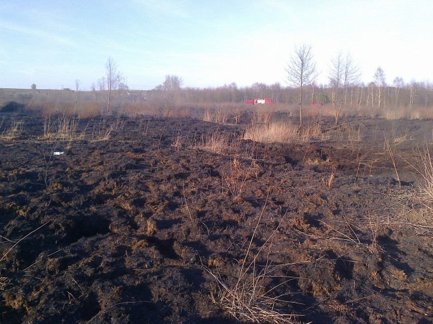 Pożar torfowisk w miejscowości Smólniki Racięckie