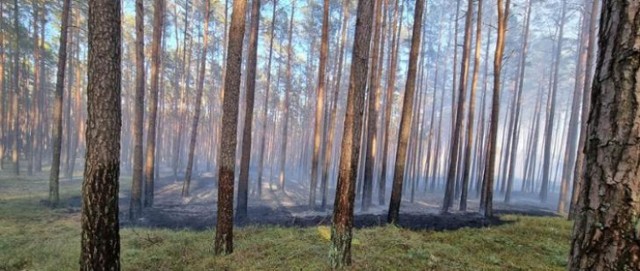 Zdjęcie ilustracyjne