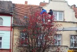 Rynek w Jarocinie: Wieszali lampki na drzewach [ZDJĘCIA]