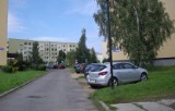Nowe miejsca parkingowe, zatoczki, drogi i chodniki na osiedlach Piastów i Siedlice