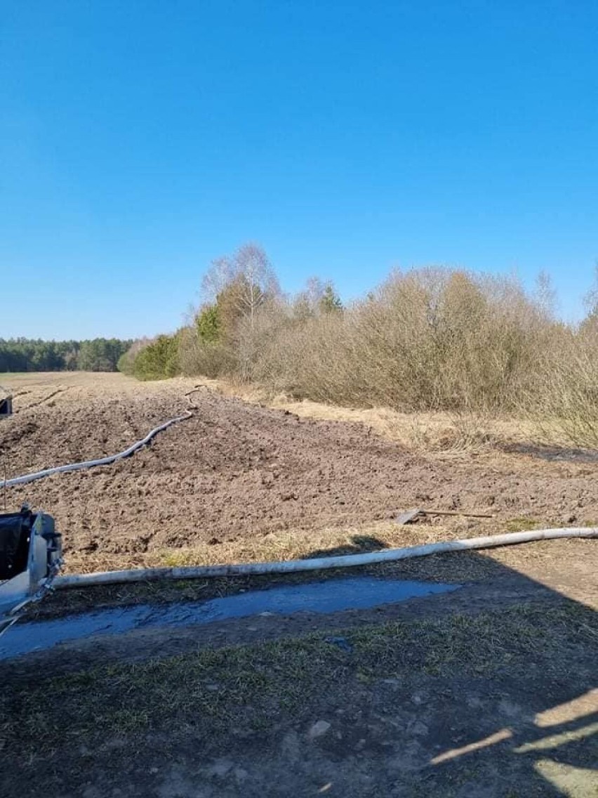 Dzięki szybkiej reakcji nastolatka, strażacy ugasili pożar lasu [zdjęcia]