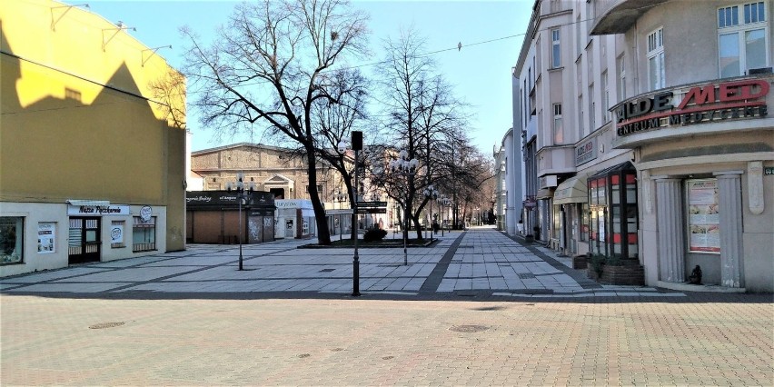 W środę rano, 25 marca 2020 r., centrum Zielonej Góry...