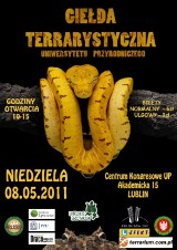 Giełda Terrarystyczna Uniwersytetu Przyrodniczego w niedzielę