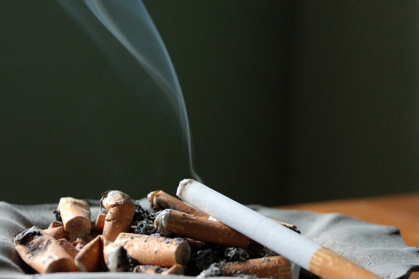 W latach 50. XX wieku – nikotyna została uznana za czynnik...