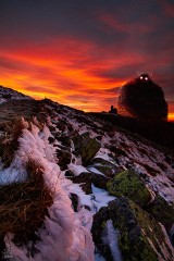 Leksykon jeleniogórskich bestii już jest! Zobacz te niesamowite zdjęcia! [GALERIA]