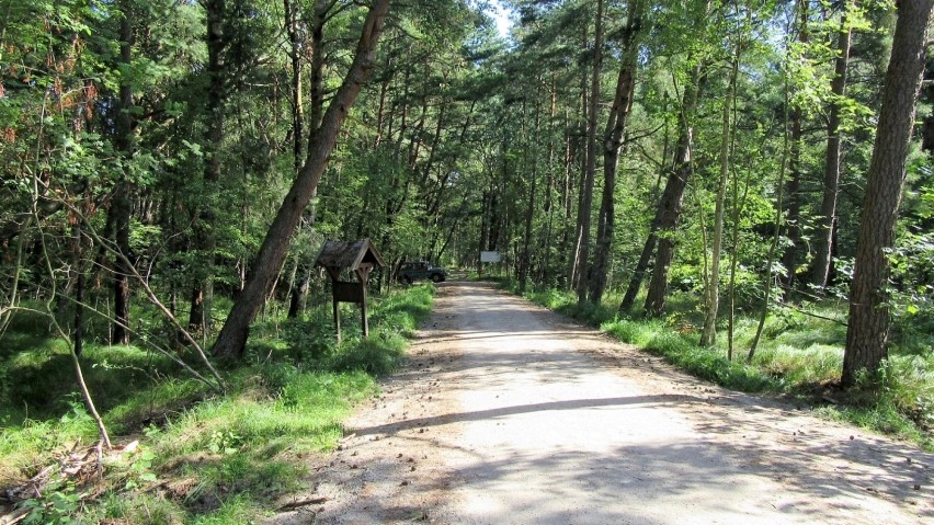 Krynica Morska. W najbliższą sobotę, 30 września odbędzie...