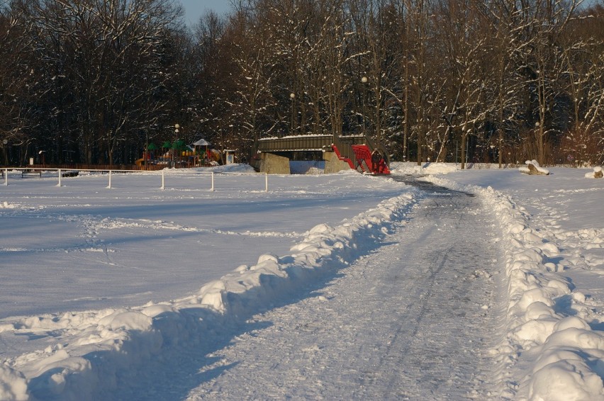 Park Miejski w zimowej odsłonie przyciąga spacerowiczów i dzieci [ZDJĘCIA]