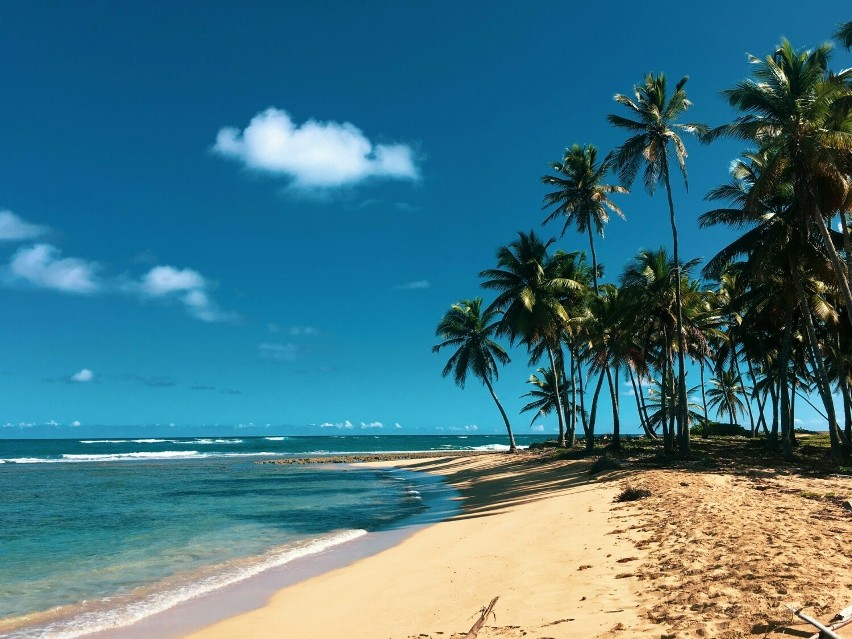 Dominikana, urokliwa wyspa na Morzu Karaibskim, znana jest...