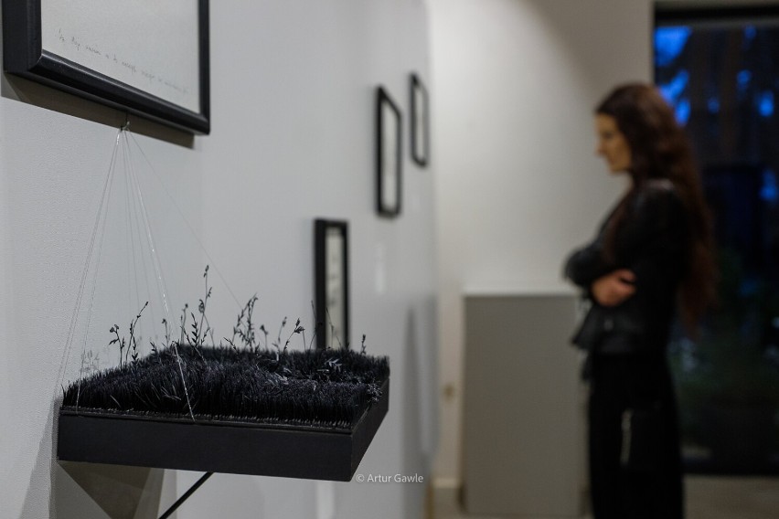 Jacek Bernaś otworzył w Tarnowie wystawę indywidualną w Galerii Bema 20. Mamy zdjęcia