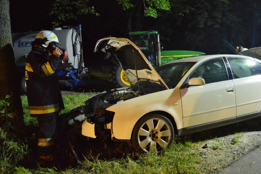 Uderzył w drzewo pomiędzy Turwią i Starym Gołębinem