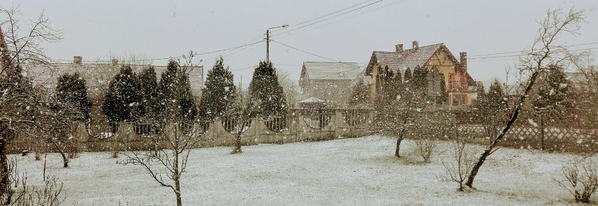 U nas za oknami pada gęsty, ciężki śnieg! Jak tam u was?...