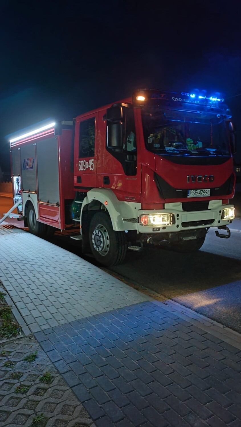 Pożar lasu w miejscowości Bystrzek. Z ogniem walczyły cztery zastępy straży pożarnej