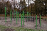 Chełm. W Parku Miejskim powstaje plac do uprawiania kalisteniki – zobaczcie zdjęcia