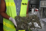 Policjanci udaremnili wprowadzenie do obrotu marihuany [wideo]