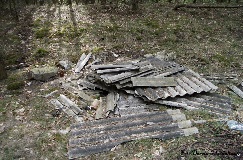 W piątek 20 września „Sprzątanie Świata”.#Sprzątamy Polskie Lasy z Prezydentem