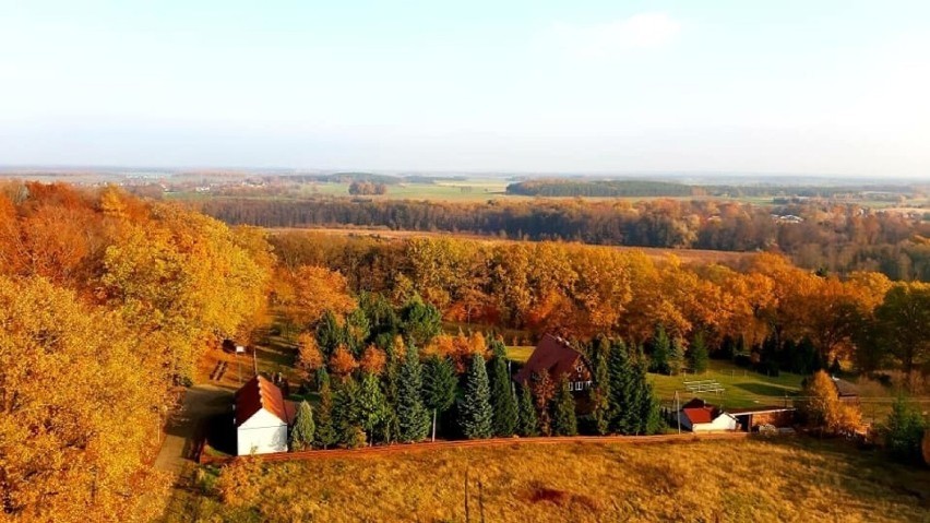 Wieża przeciwpożarowo - widokowa na ternie Ośrodka Edukacji...