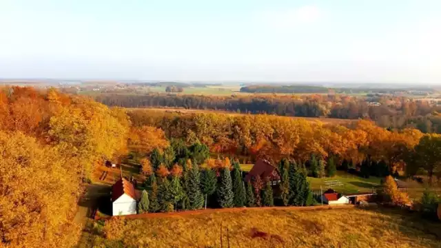 Wieża przeciwpożarowo - widokowa na ternie Ośrodka Edukacji Przyrodniczo - Leśnej w Jeziorach Wysokich.