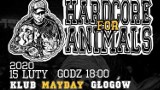 Koncert „Hardcore For Animals" w MCK Mayday. Zespoły zagrają na rzecz zwierzaków