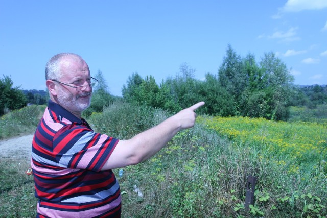 Wał przeciwpowodziowy zamieniony w plantację chwastów