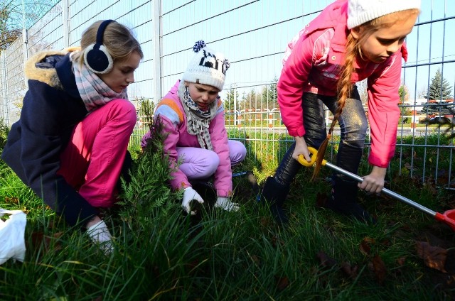 Inea Stadion - Dzieci posadziły 100 drzew przy Bułgarskiej