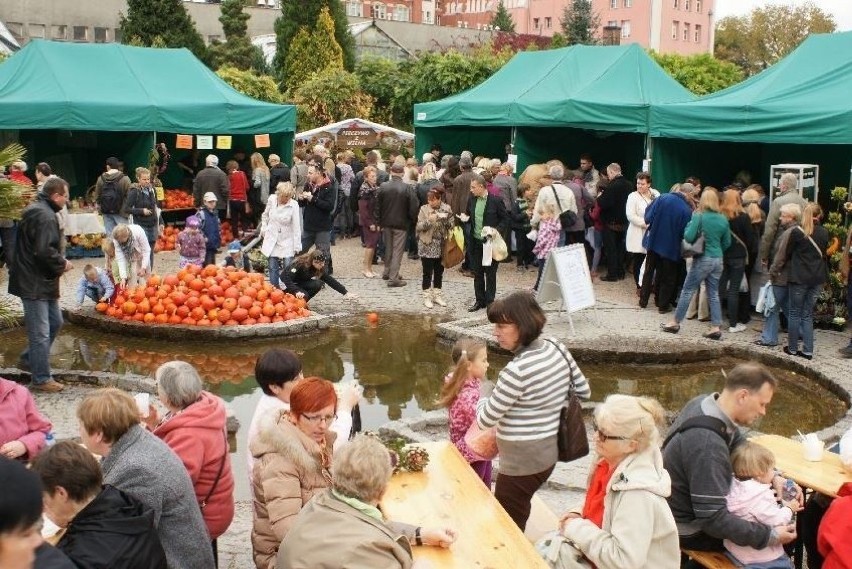 Ogród Botaniczny Uniwersytetu Wrocławskiego zaprasza w...