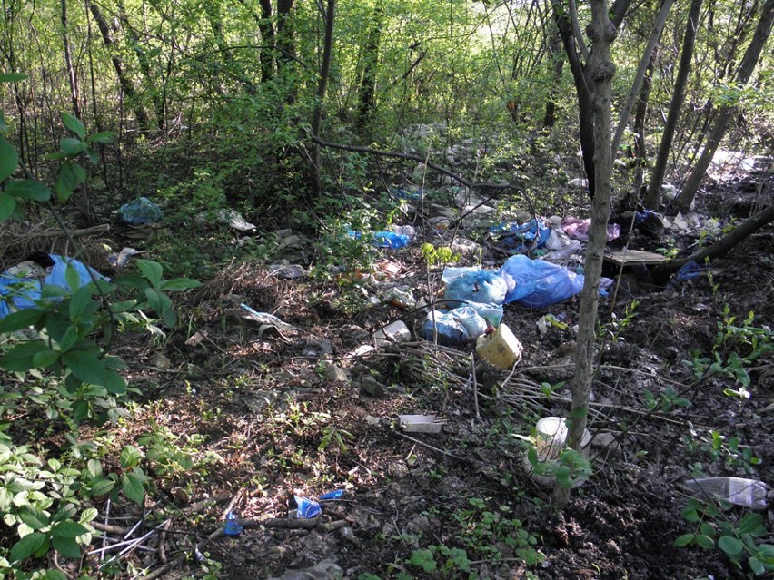 Mieszkańcy informują: Zaśmiecony las przy osiedlu Mydlice