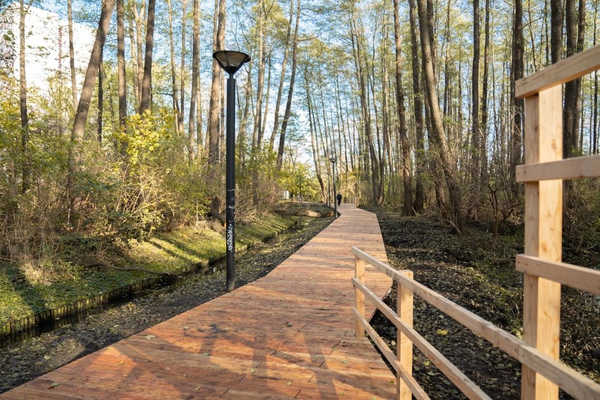 W Parku Olszyna powstał drewniany taras widokowy. Czy to najpiękniejszy projekt z Budżetu Obywatelskiego? 