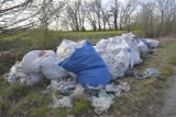 Gmina Kościan. Podrzucono różne odpady przy drodze w okolicach Białcza i Pelikana [FOTO]