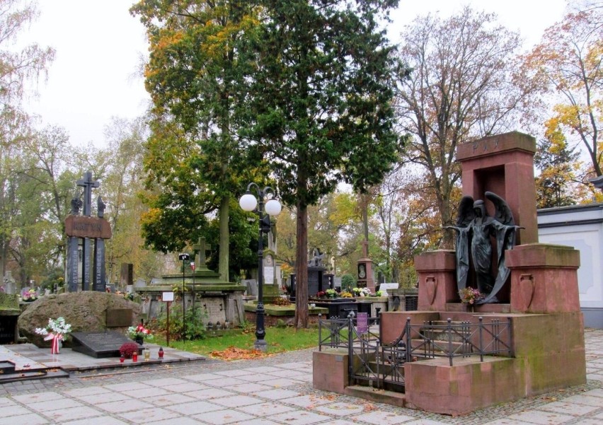 Kwesta na radomskim cmentarzu przy Limanowskiego organizowana przez Społeczny Komitet Ochrony Cmentarza