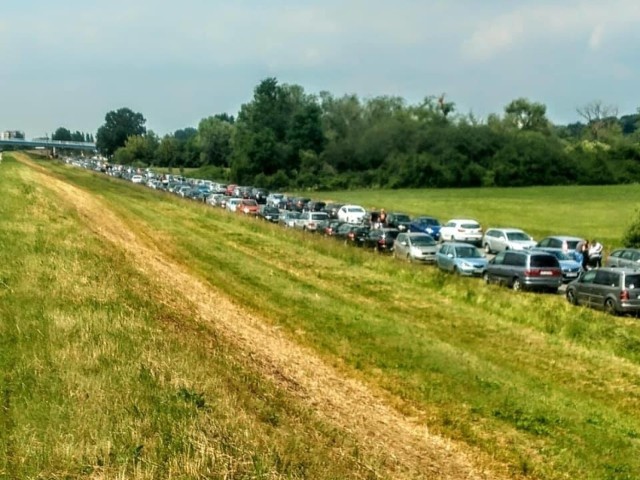 Samochody zastawiają Wyspę Bolko szczególnie w weekendy