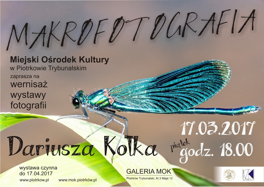 Wystawa Dariusza Kołka w MOK