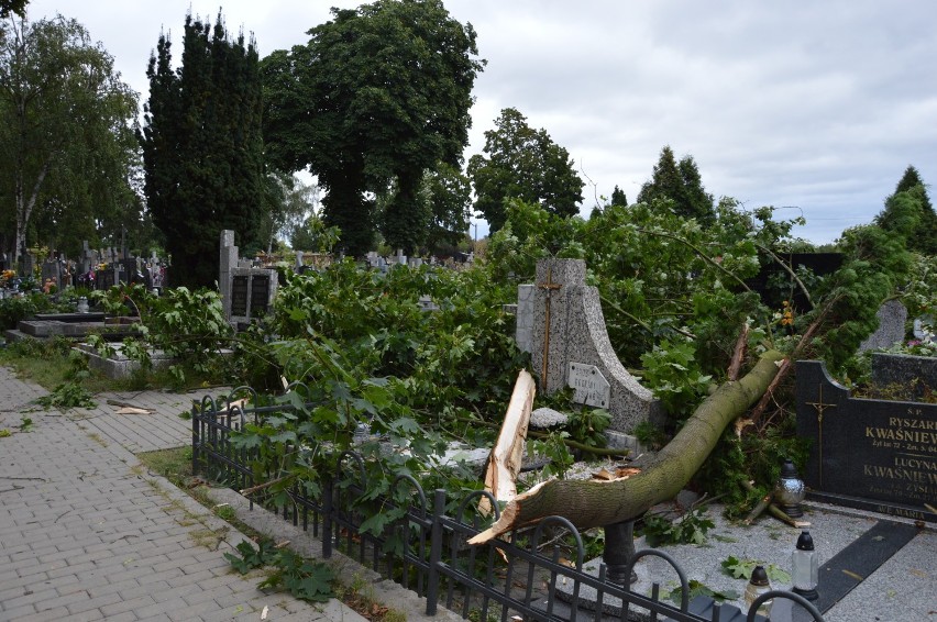 Ostrzeżenie przed silnym wiatrem dla powiatu tomaszowskiego. W mieście wciąż trwa sprzątanie po środowej nawałnicy [ZDJĘCIA]