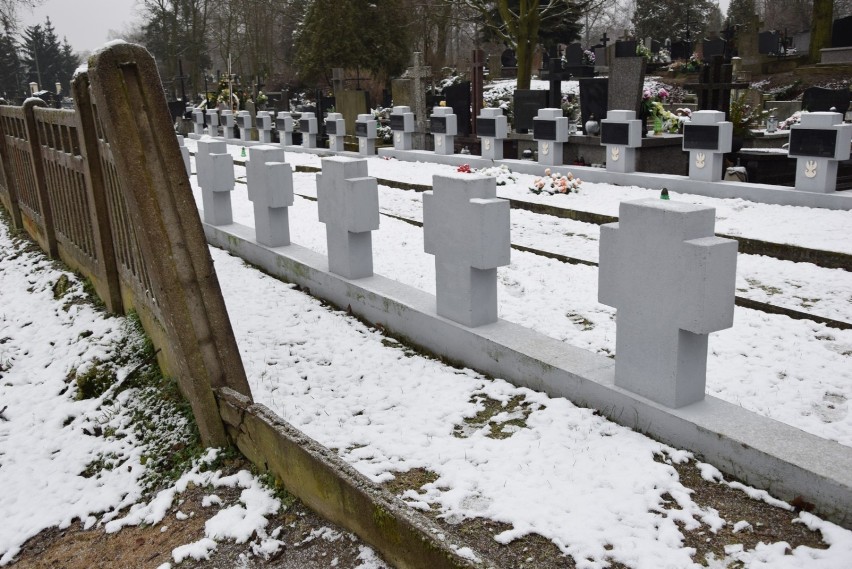 Depczą po grobach żołnierzy na skierniewickim cmentarzu [ZDJĘCIA]