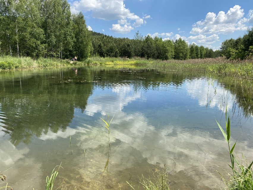 Tereny po kopalni piasku w Bukownie