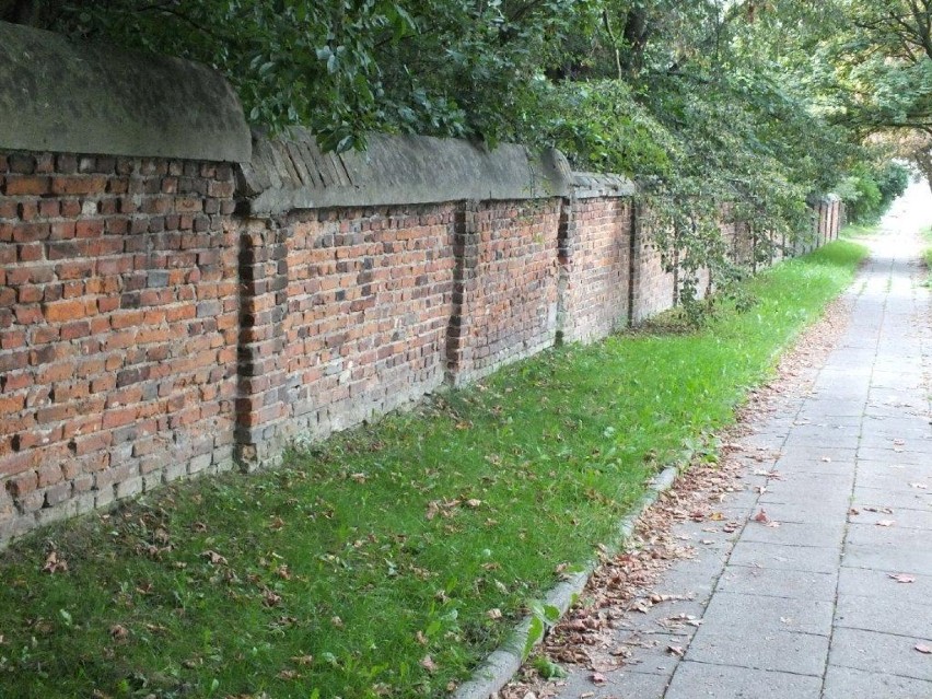 Spacer po Cmentarzu Żydowskim przy ul. Brackiej.