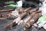 Przemyt papierosów ukryty w drewnie