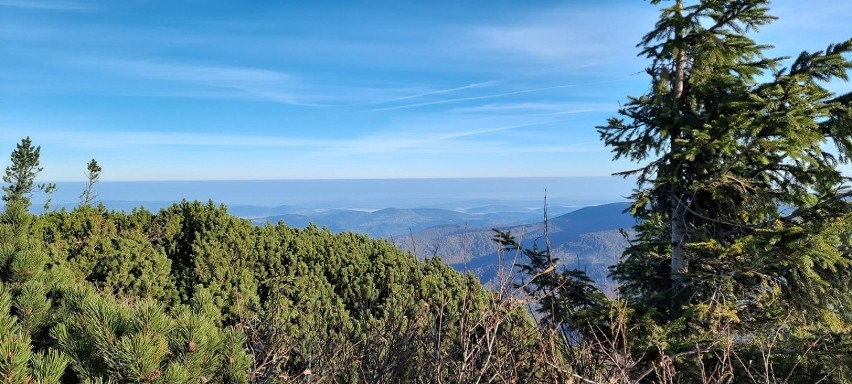 Beskidy. Diablak w jesiennej odsłonie - morze chmur i widok na Tatry [ZDJĘCIA]