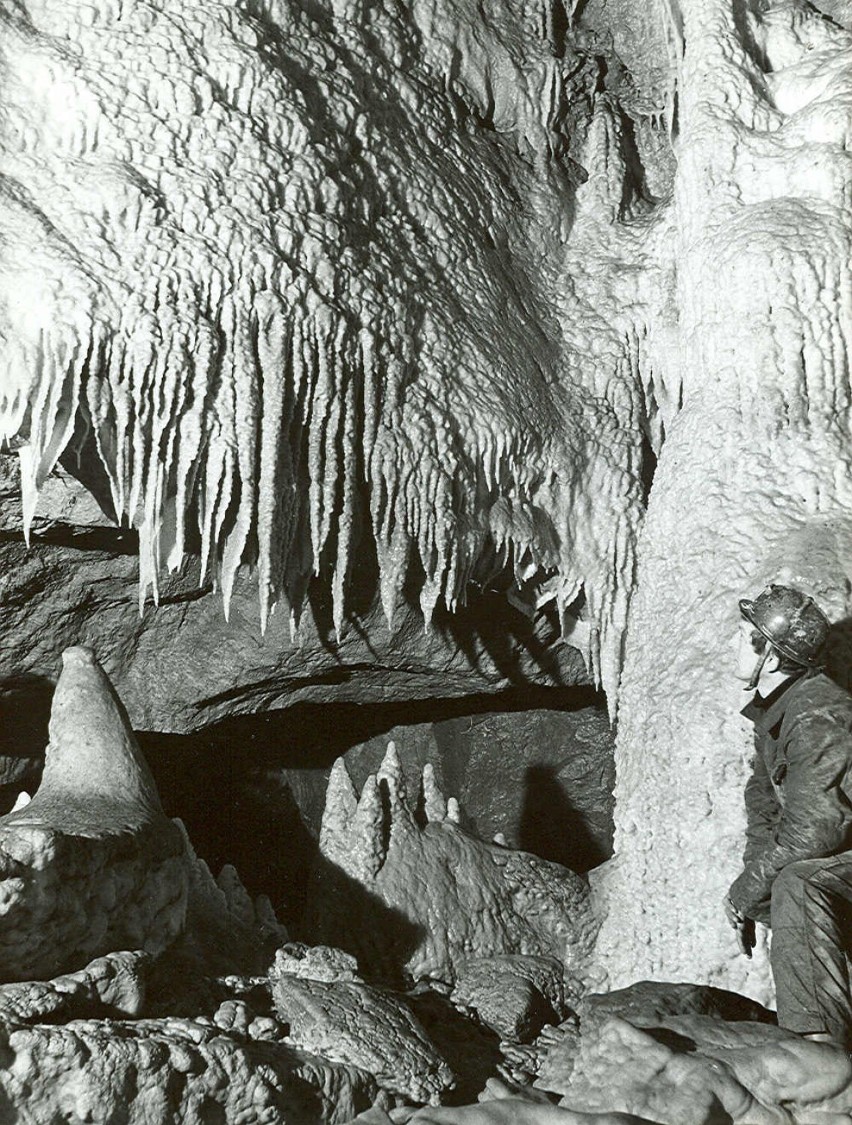 Jaskinia Niedźwiedzia w Kletnie odkryta przypadkowo 56 lat...