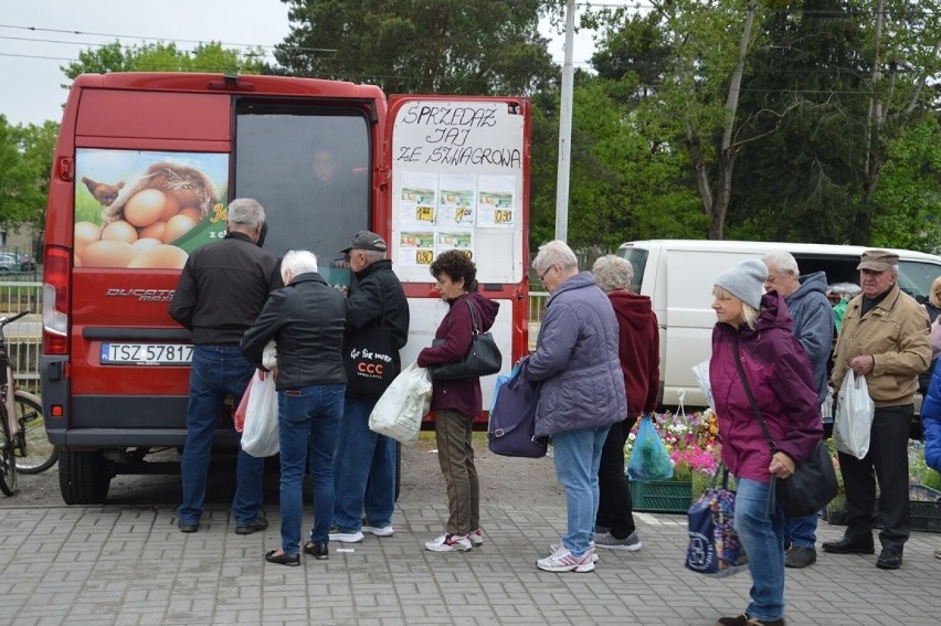 Ceny owoców i warzyw na stalowowolskim targu w piątek 19 maja. Co i za ile można było kupić? Królują truskawki. Zdjęcia