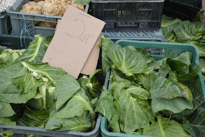 Ceny owoców i warzyw na stalowowolskim targu w piątek 19 maja. Co i za ile można było kupić? Królują truskawki. Zdjęcia