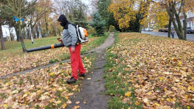 Liście w parkach pozostawiono, bo zwiększają bioróżnorodność