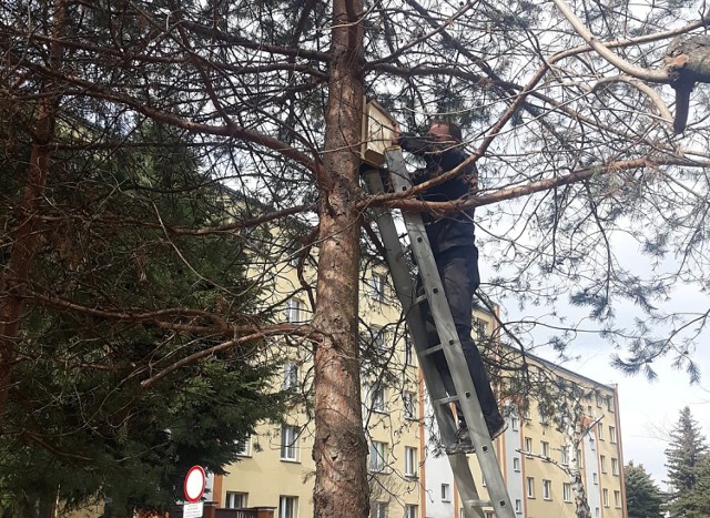 Na osiedlu zamontowanych zostało już 112 ptasich domostw.