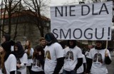 Kraków. Marsz przeciw smogowi