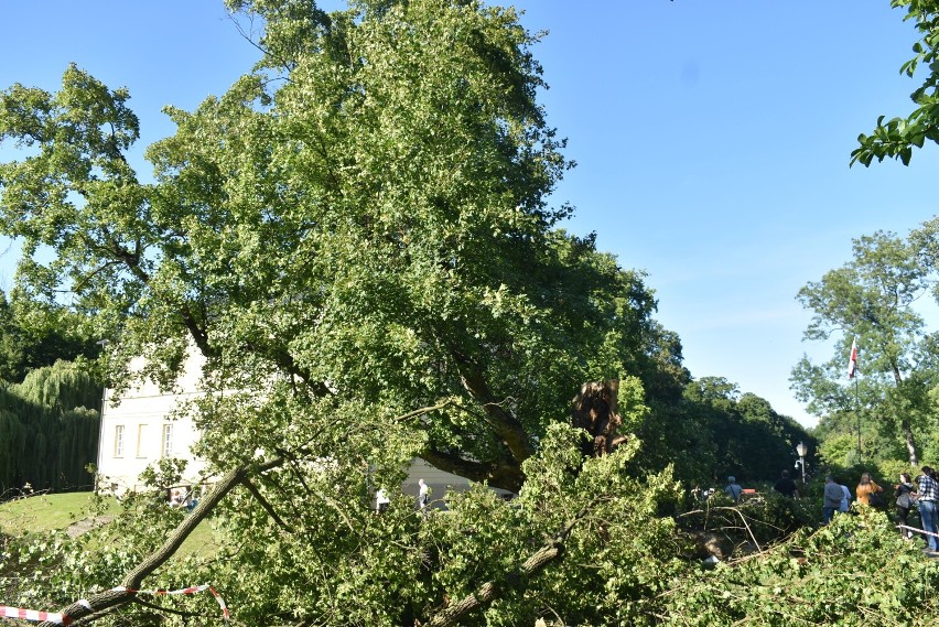 Paklon został poważnie uszkodzony podczas sobotniej wichury