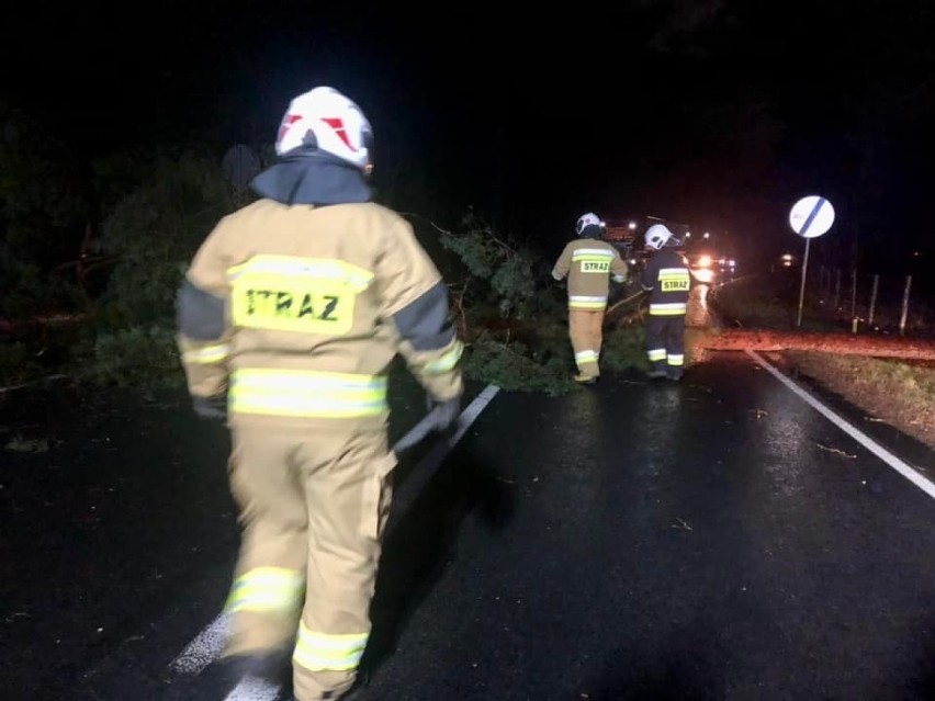Strażacy usuwają drzewo, które zatarasowało drogę krajową nr...