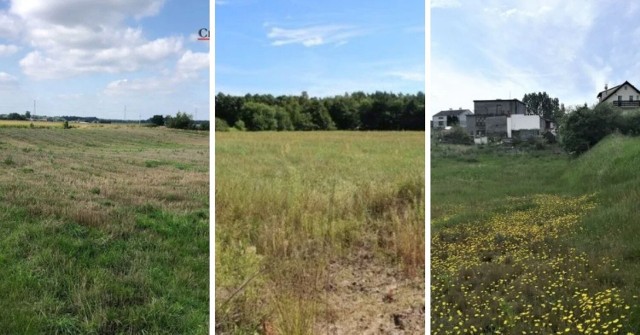 Każdy, kto planuje budowę domu jednorodzinnego zwykle zaczyna od wyboru działki budowlanej. Jakie grunty w regionie są obecnie do kupienia w dogodnej cenie w okolicach Torunia? Sprawdziliśmy! Zobaczcie najnowsze oferty z portalu OtoDom.pl. >>>>>